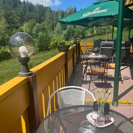 Vladimir Janské Lázně