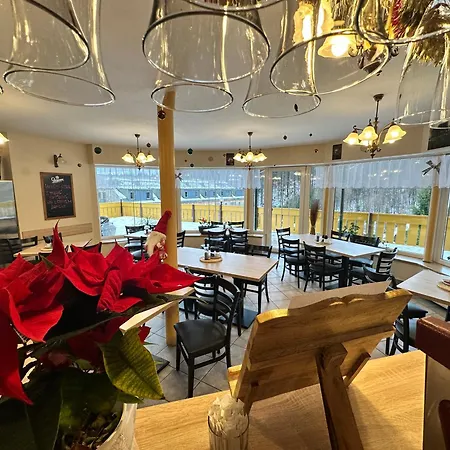 Vladimir Janské Lázně