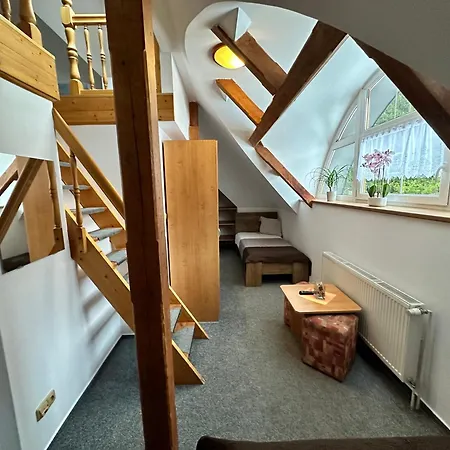 Vladimir 3* Janské Lázně