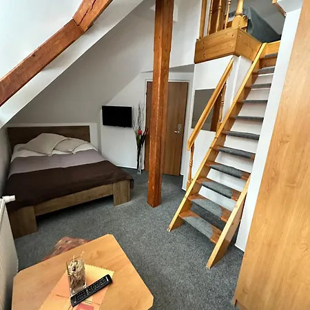 Vladimir 3* Janské Lázně