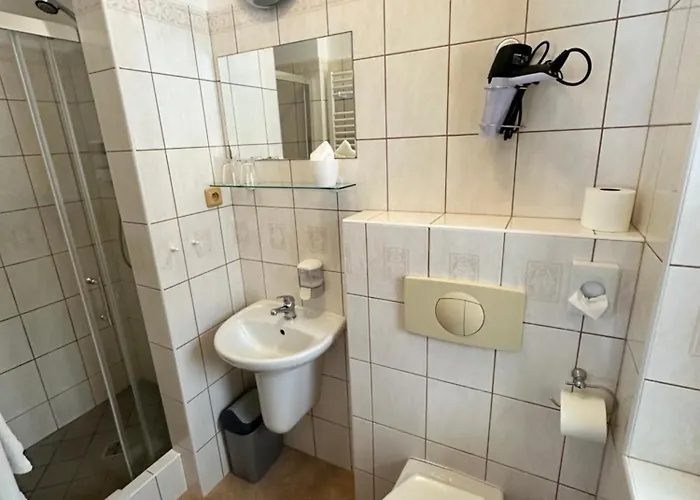 Vladimir 3* Janské Lázně